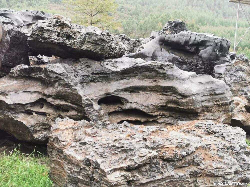 风景石、假山石大量有货，有需要的欢迎联系 - 新手上路 - 遵义生活社区 - 遵义28生活网 zunyi.28life.net