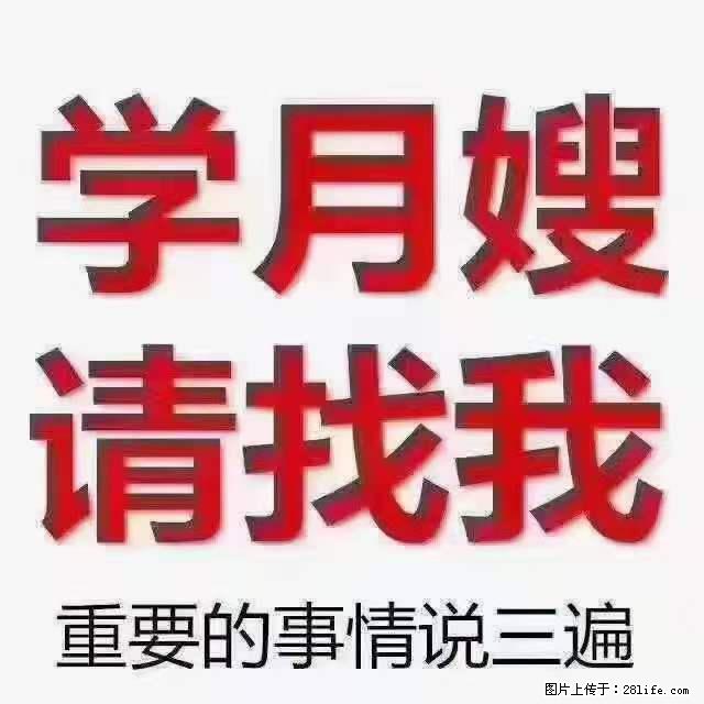 为什么要学习月嫂,育婴师? - 其他广告 - 广告专区 - 遵义分类信息 - 遵义28生活网 zunyi.28life.net