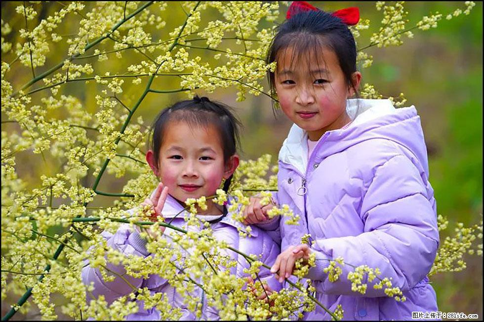 【春天，广西桂林灌阳县向您发出邀请！】米珠山前有片山苍子花在飘香 - 游山玩水 - 遵义生活社区 - 遵义28生活网 zunyi.28life.net