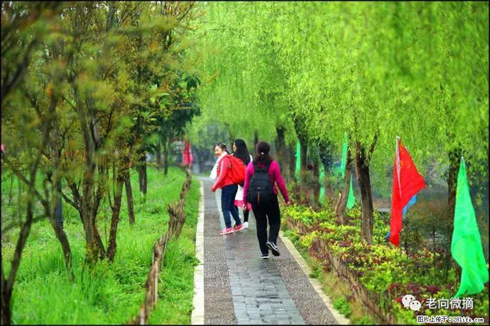 【春天，广西桂林灌阳县向您发出邀请！】江口老街又逢春 - 游山玩水 - 遵义生活社区 - 遵义28生活网 zunyi.28life.net