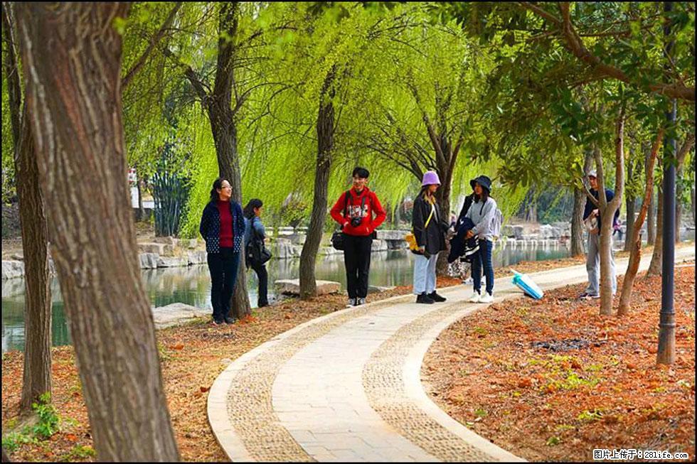 【春天，广西桂林灌阳县向您发出邀请！】江口老街又逢春 - 游山玩水 - 遵义生活社区 - 遵义28生活网 zunyi.28life.net