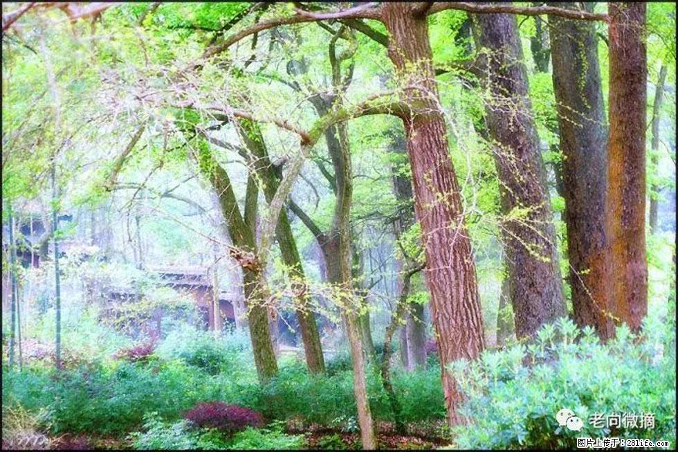 【春天，广西桂林灌阳县向您发出邀请！】在小龙村与春天约会 - 游山玩水 - 遵义生活社区 - 遵义28生活网 zunyi.28life.net
