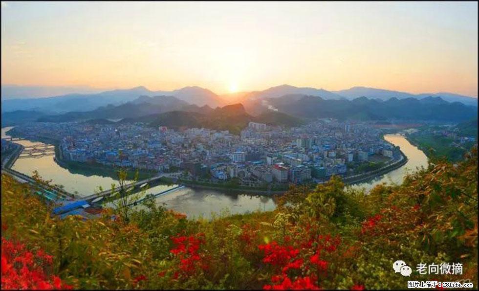 【春天,广西桂林灌阳县向您发出邀请!】登麒麟山,相约映山红 - 游山玩水 - 遵义生活社区 - 遵义28生活网 zunyi.28life.net