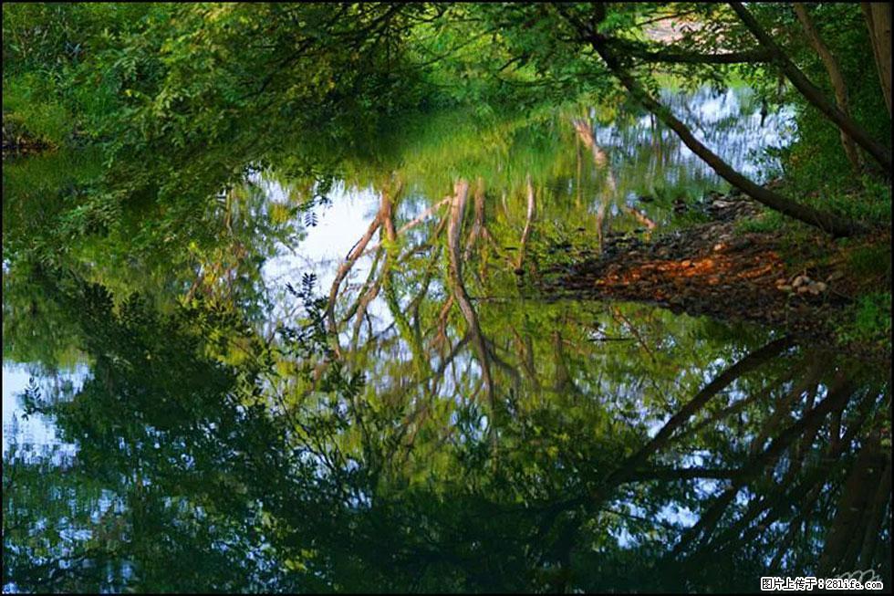 【春天，广西桂林灌阳县向您发出邀请！】熊家寨湿地公园 - 游山玩水 - 遵义生活社区 - 遵义28生活网 zunyi.28life.net