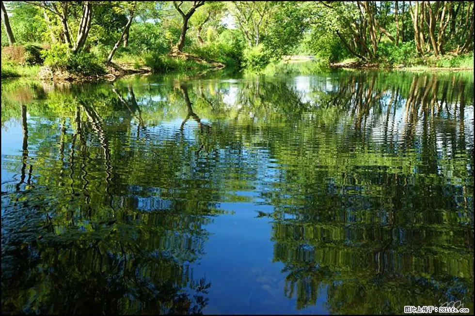 【春天，广西桂林灌阳县向您发出邀请！】熊家寨湿地公园 - 游山玩水 - 遵义生活社区 - 遵义28生活网 zunyi.28life.net