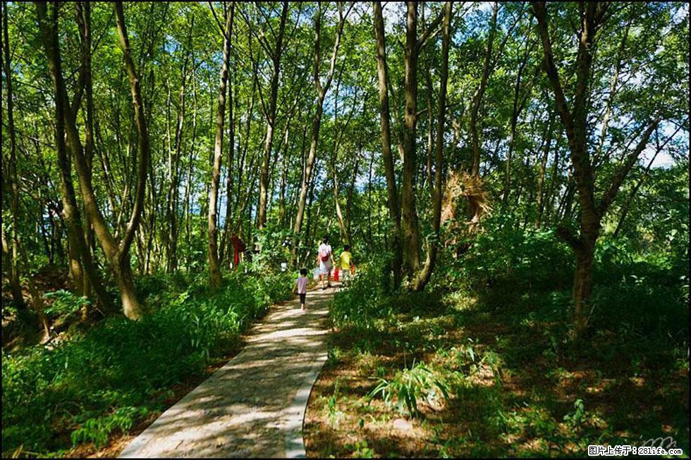 【春天，广西桂林灌阳县向您发出邀请！】熊家寨湿地公园 - 游山玩水 - 遵义生活社区 - 遵义28生活网 zunyi.28life.net