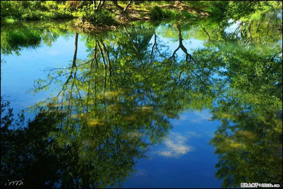 【春天，广西桂林灌阳县向您发出邀请！】熊家寨湿地公园 - 游山玩水 - 遵义生活社区 - 遵义28生活网 zunyi.28life.net