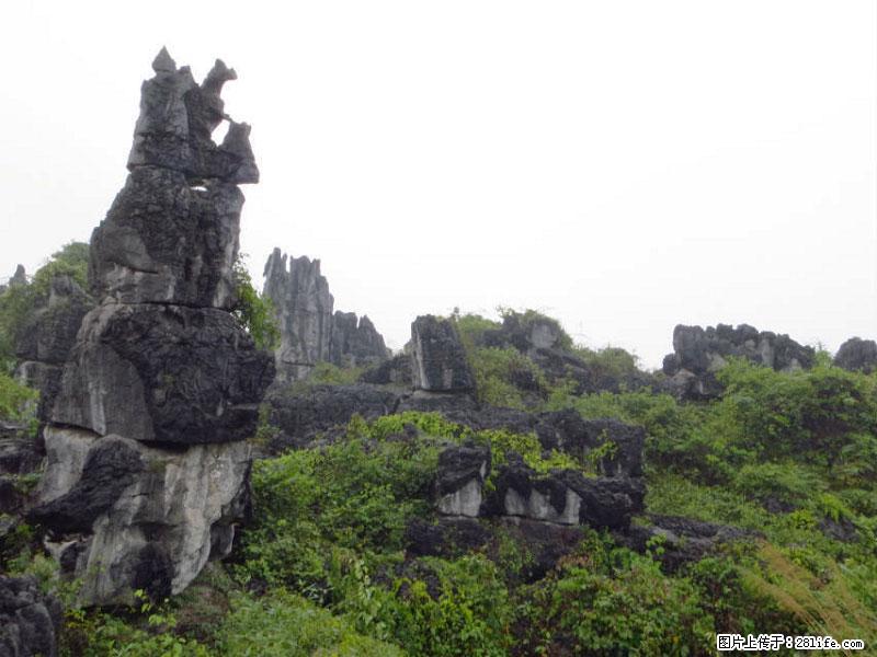 桂林旅游名城景点:灌阳文市石林 - 游山玩水 - 遵义生活社区 - 遵义28生活网 zunyi.28life.net