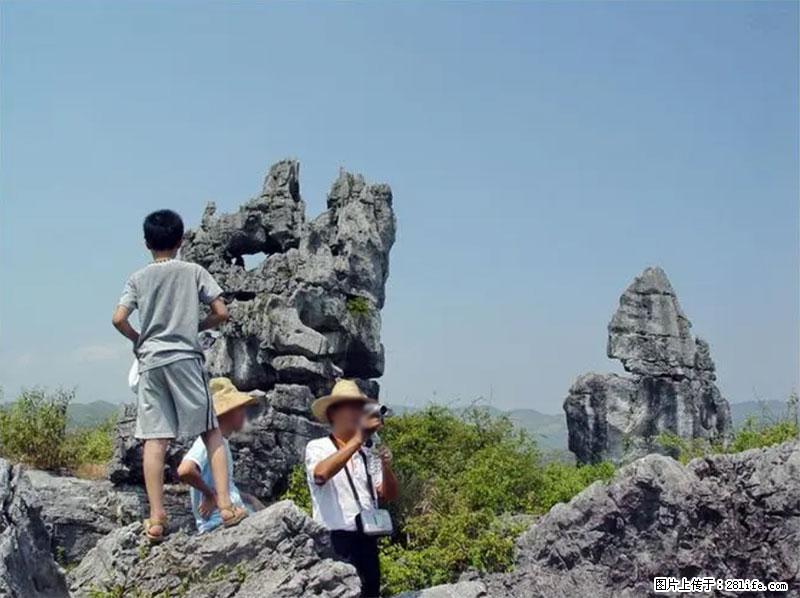 桂林旅游名城景点:灌阳文市石林 - 游山玩水 - 遵义生活社区 - 遵义28生活网 zunyi.28life.net