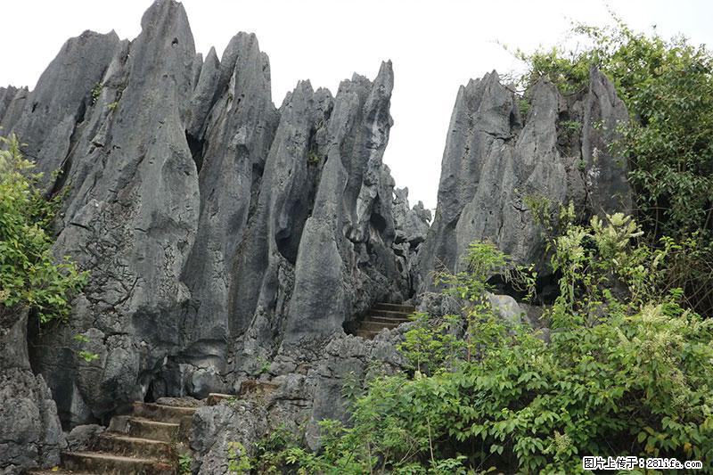 桂林旅游名城景点:灌阳文市石林 - 游山玩水 - 遵义生活社区 - 遵义28生活网 zunyi.28life.net