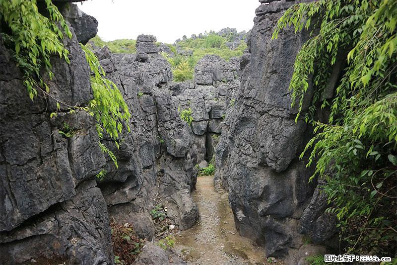 桂林旅游名城景点:灌阳文市石林 - 游山玩水 - 遵义生活社区 - 遵义28生活网 zunyi.28life.net