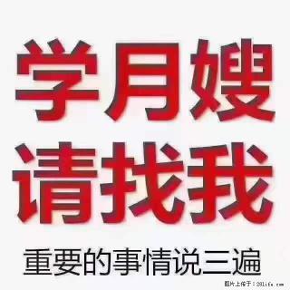 为什么要学习月嫂，育婴师？ - 遵义28生活网 zunyi.28life.net