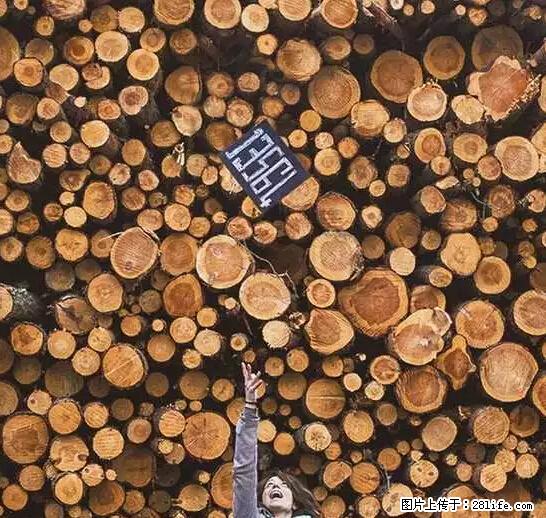 辞掉工作周游世界?现在他们在洗厕所…… - 游山玩水 - 遵义生活社区 - 遵义28生活网 zunyi.28life.net