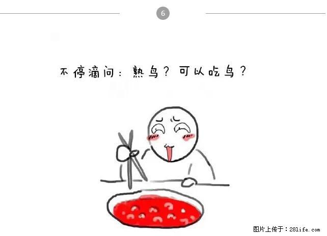 千万不要和这9种哈卵一起吃火锅！ - 美食天地 - 遵义生活社区 - 遵义28生活网 zunyi.28life.net
