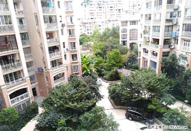 宁波路维也纳春天临街，办公好地方，超大广告牌没问题 - 房屋出租 - 房屋租售 - 遵义分类信息 - 遵义28生活网 zunyi.28life.net