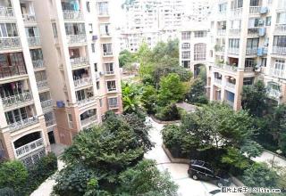 宁波路维也纳春天临街，办公好地方，超大广告牌没问题 - 遵义28生活网 zunyi.28life.net