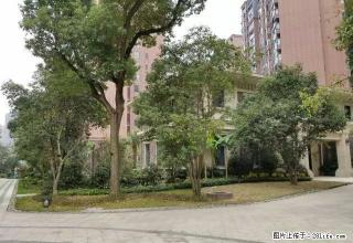 急租 上海路 常青藤 电梯楼 精装修 家电家具全3室2厅2卫 - 遵义28生活网 zunyi.28life.net
