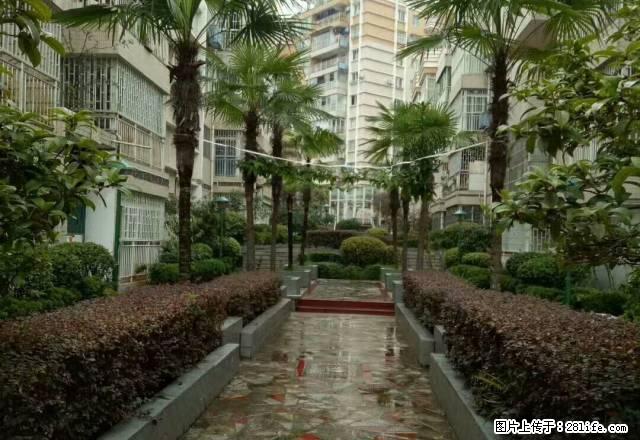 医学院附近长沙路小区房2房2厅带阳台平台2楼 - 房屋出租 - 房屋租售 - 遵义分类信息 - 遵义28生活网 zunyi.28life.net