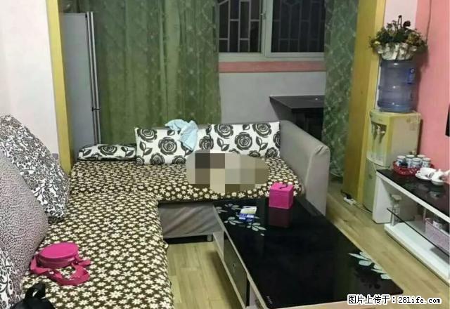 丁字口白杨小区步梯黄，金2楼 1室1厅1卫齐全拎包即住 - 房屋出租 - 房屋租售 - 遵义分类信息 - 遵义28生活网 zunyi.28life.net