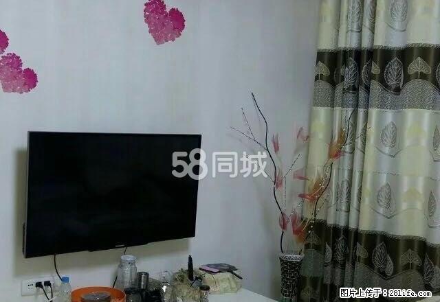 南京路精装两房出租 近珠海路 - 房屋出租 - 房屋租售 - 遵义分类信息 - 遵义28生活网 zunyi.28life.net