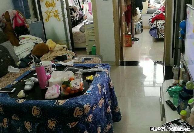 宁波路上海路交接处 中央公寓 精装修 钥匙在手随时看房！ - 房屋出租 - 房屋租售 - 遵义分类信息 - 遵义28生活网 zunyi.28life.net