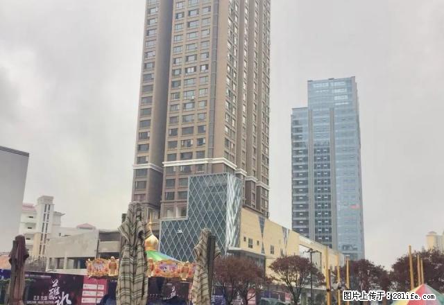昆明路世贸城 电梯2室 全新装修 拎包入住 首/次出租 - 房屋出租 - 房屋租售 - 遵义分类信息 - 遵义28生活网 zunyi.28life.net