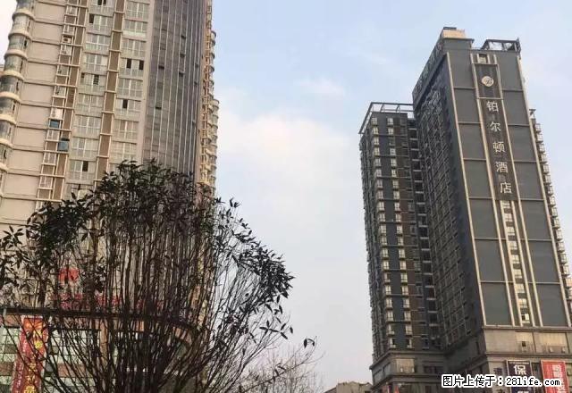 中华路名酒城2室2厅精装电梯房家电齐全设施安保齐全停车方便 - 房屋出租 - 房屋租售 - 遵义分类信息 - 遵义28生活网 zunyi.28life.net