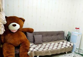 阳光E版 温馨装修 适合单身 及小两口居住 - 遵义28生活网 zunyi.28life.net