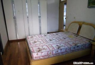 急租 上海路 师院对面长征四厂 精装三房 拎包入住 - 遵义28生活网 zunyi.28life.net