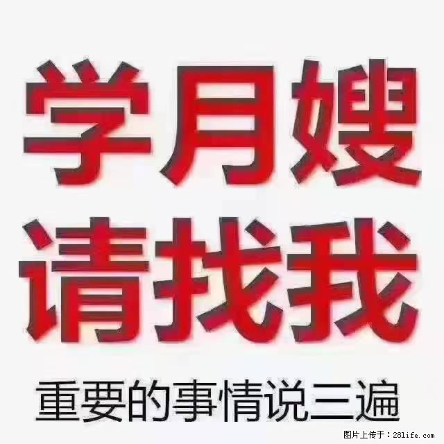 【招聘】月嫂，上海徐汇区 - 职场交流 - 遵义生活社区 - 遵义28生活网 zunyi.28life.net