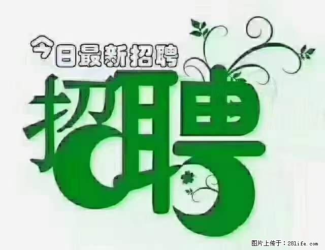 上海隔离酒店招人：55岁以下 男女不限 - 职场交流 - 遵义生活社区 - 遵义28生活网 zunyi.28life.net
