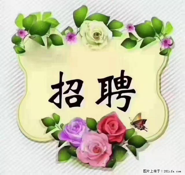 【招聘】住家育儿嫂，上户日期：4月4日，工作地址：上海 黄浦区 - 职场交流 - 遵义生活社区 - 遵义28生活网 zunyi.28life.net
