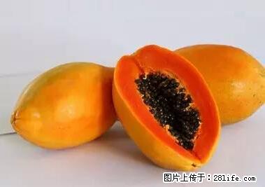 晕车、脚气、牙齿变黄、皮肤粗糙？学会这些三分钟搞定！ - 遵义生活资讯 - 遵义28生活网 zunyi.28life.net