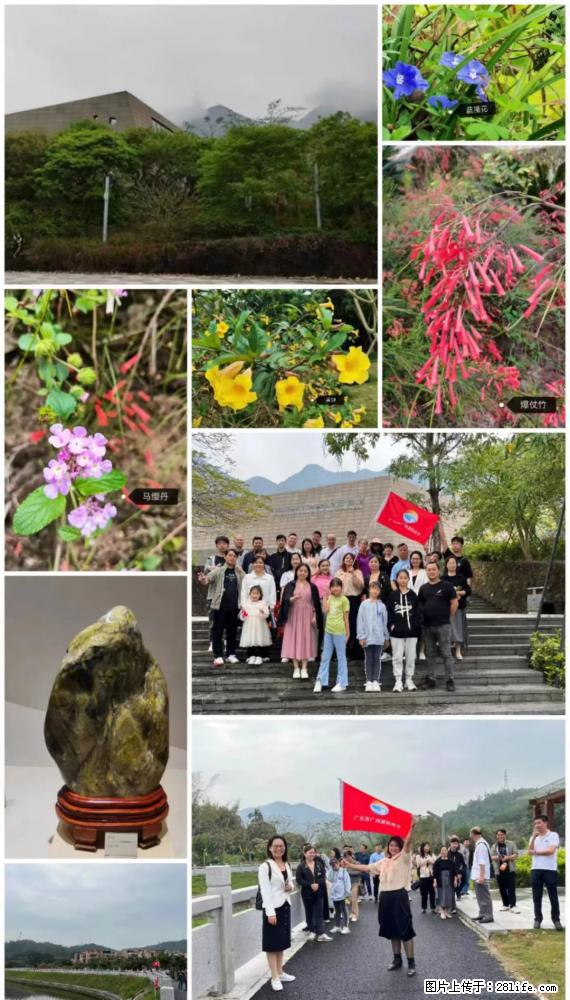 “粤灌文化 美好生活”油茶文化主题活动在广东深圳成功举办 - 遵义生活资讯 - 遵义28生活网 zunyi.28life.net
