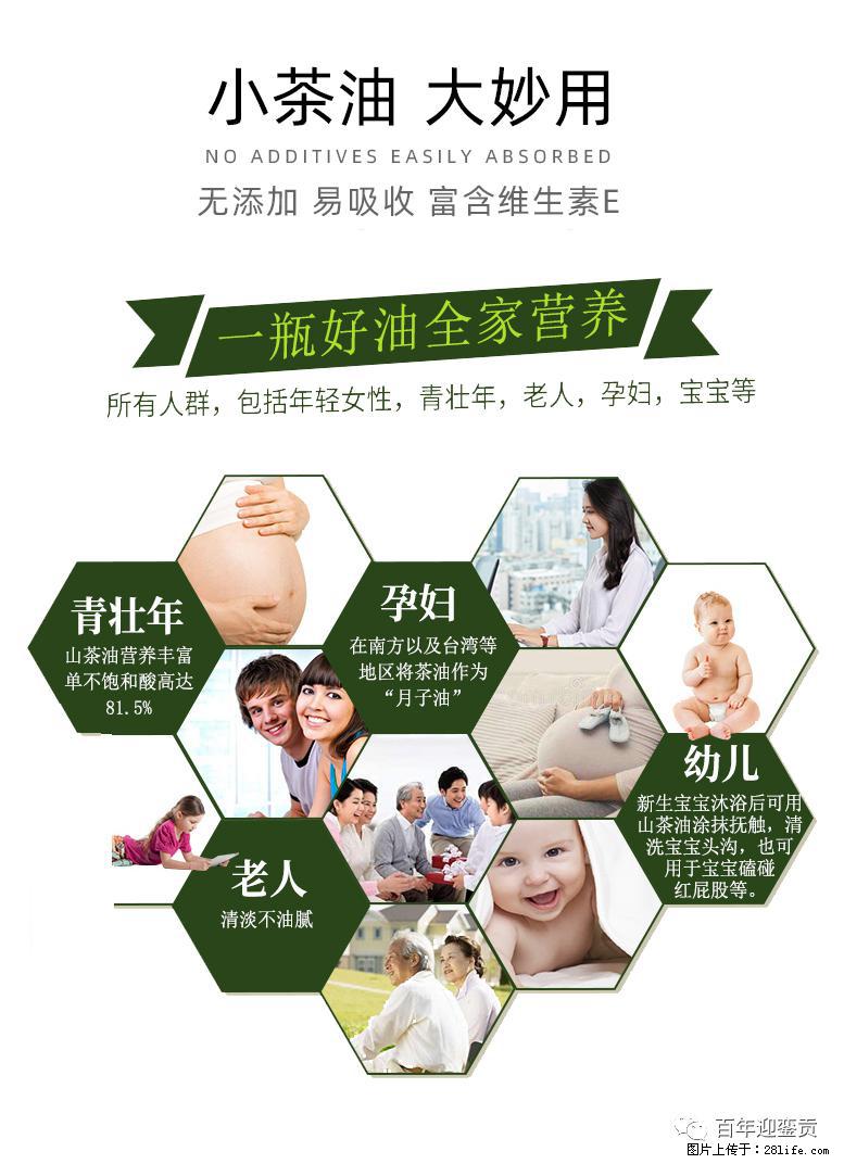 世界没有真相,只有认知,最好的食用油是中国的山茶油! - 遵义生活资讯 - 遵义28生活网 zunyi.28life.net