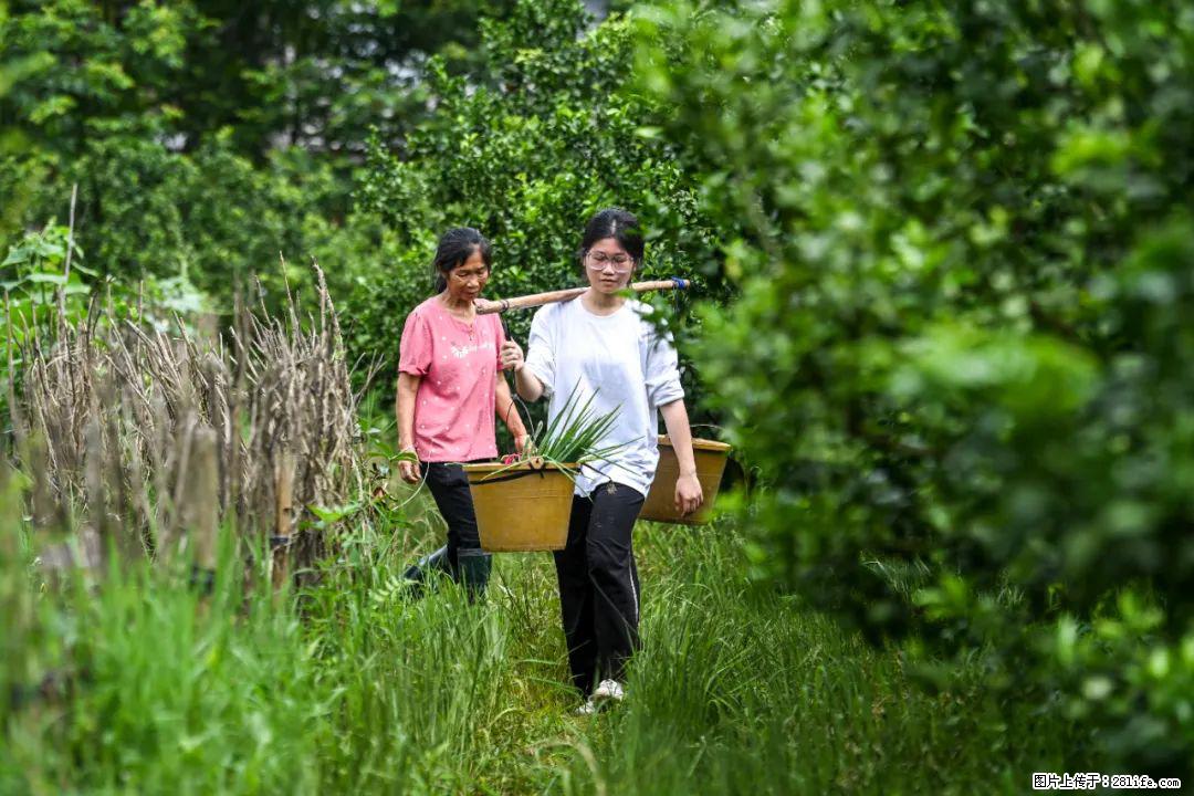 全网追的“扁担女孩”，找了一份暑假工，时薪12元 - 遵义生活资讯 - 遵义28生活网 zunyi.28life.net
