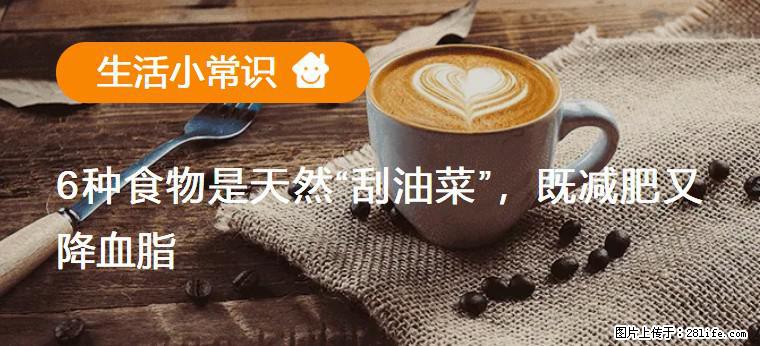 【生活小常识】6种食物是天然“刮油菜”，既减肥又降血脂 - 遵义生活资讯 - 遵义28生活网 zunyi.28life.net