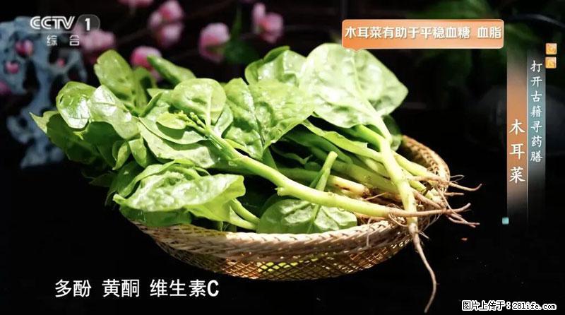 比牛奶补钙还厉害！凉血解毒、稳血糖...这菜冬天必吃，很多人却当草 - 遵义生活资讯 - 遵义28生活网 zunyi.28life.net