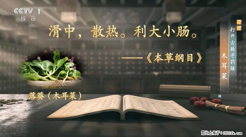 比牛奶补钙还厉害！凉血解毒、稳血糖...这菜冬天必吃，很多人却当草 - 遵义生活资讯 - 遵义28生活网 zunyi.28life.net