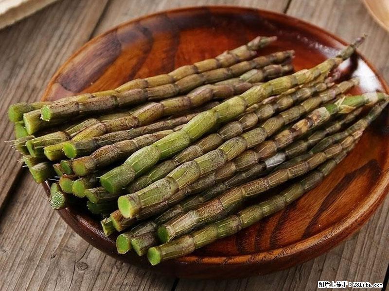 铁皮石斛的作用与功能主治 - 遵义生活资讯 - 遵义28生活网 zunyi.28life.net